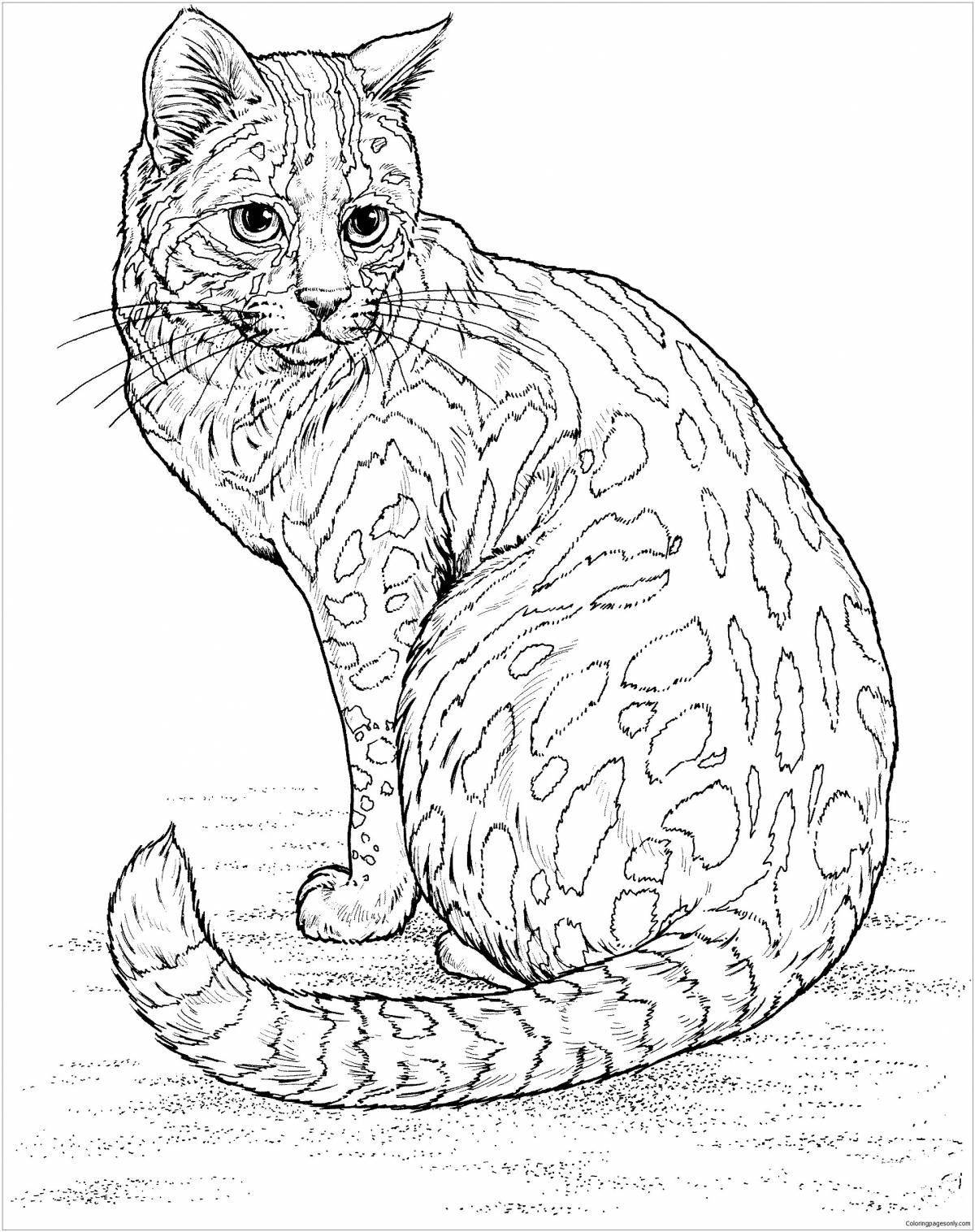 Coloring page graceful real cat