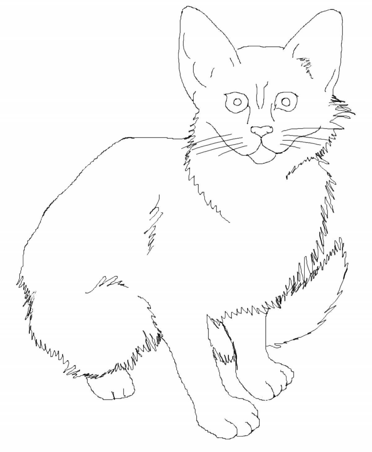 Adorable real cat coloring page