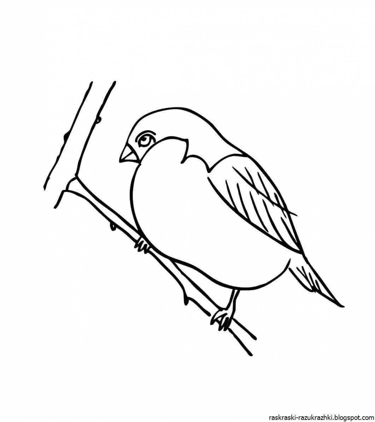 Adorable bullfinch coloring book for kids