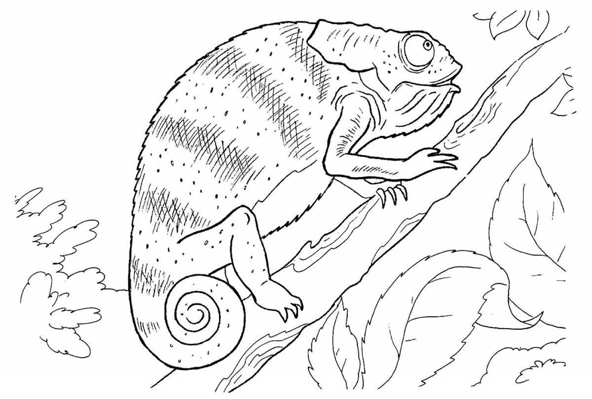 Coloring book shining Chekhov's chameleon