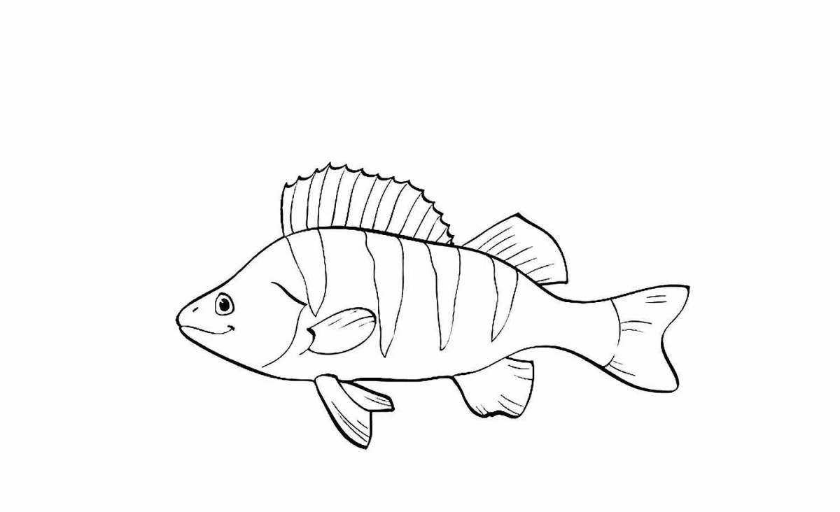 Colourful perch fish coloring page