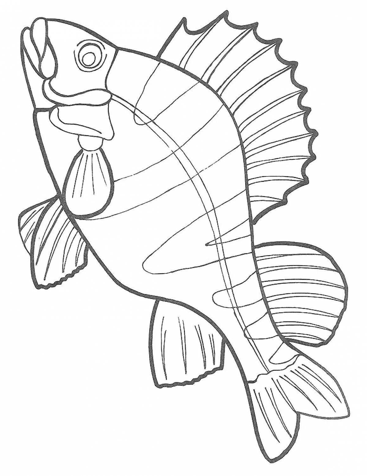 Coloring page playful perch