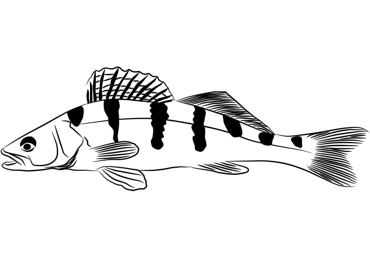 Анимированная страница раскраски рыбы-окуня