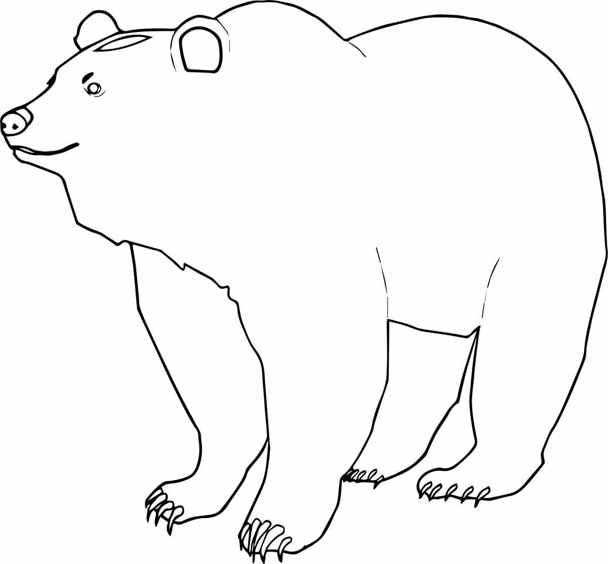 Раскраска яркий гималайский медведь