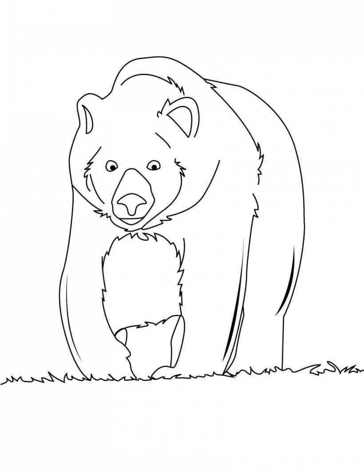 Очаровательный гималайский медведь раскраска