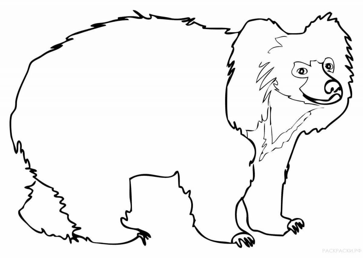 Coloring soft himalayan bear