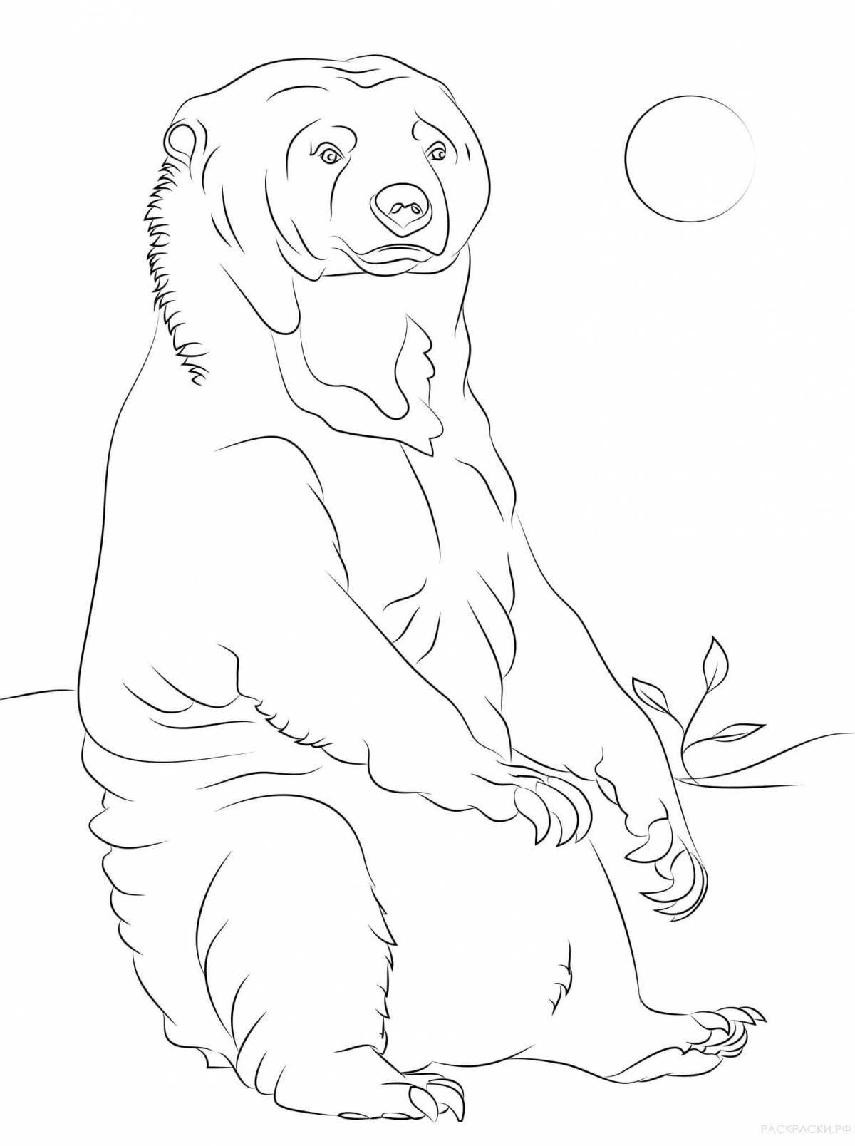 Coloring page graceful himalayan bear
