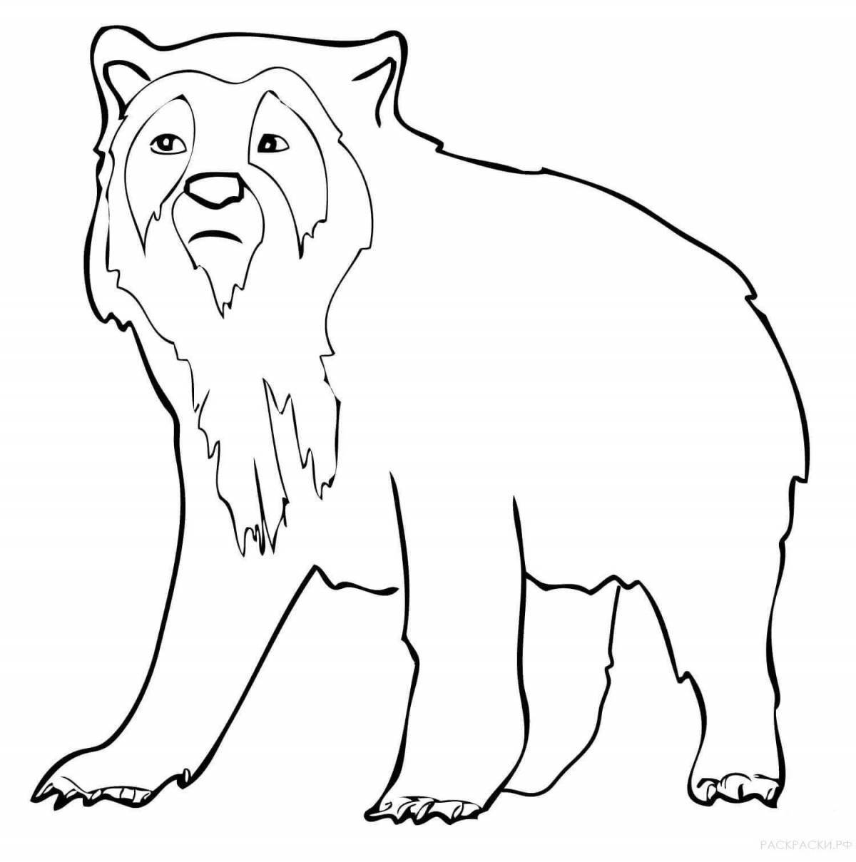 Раскраска великолепный гималайский медведь