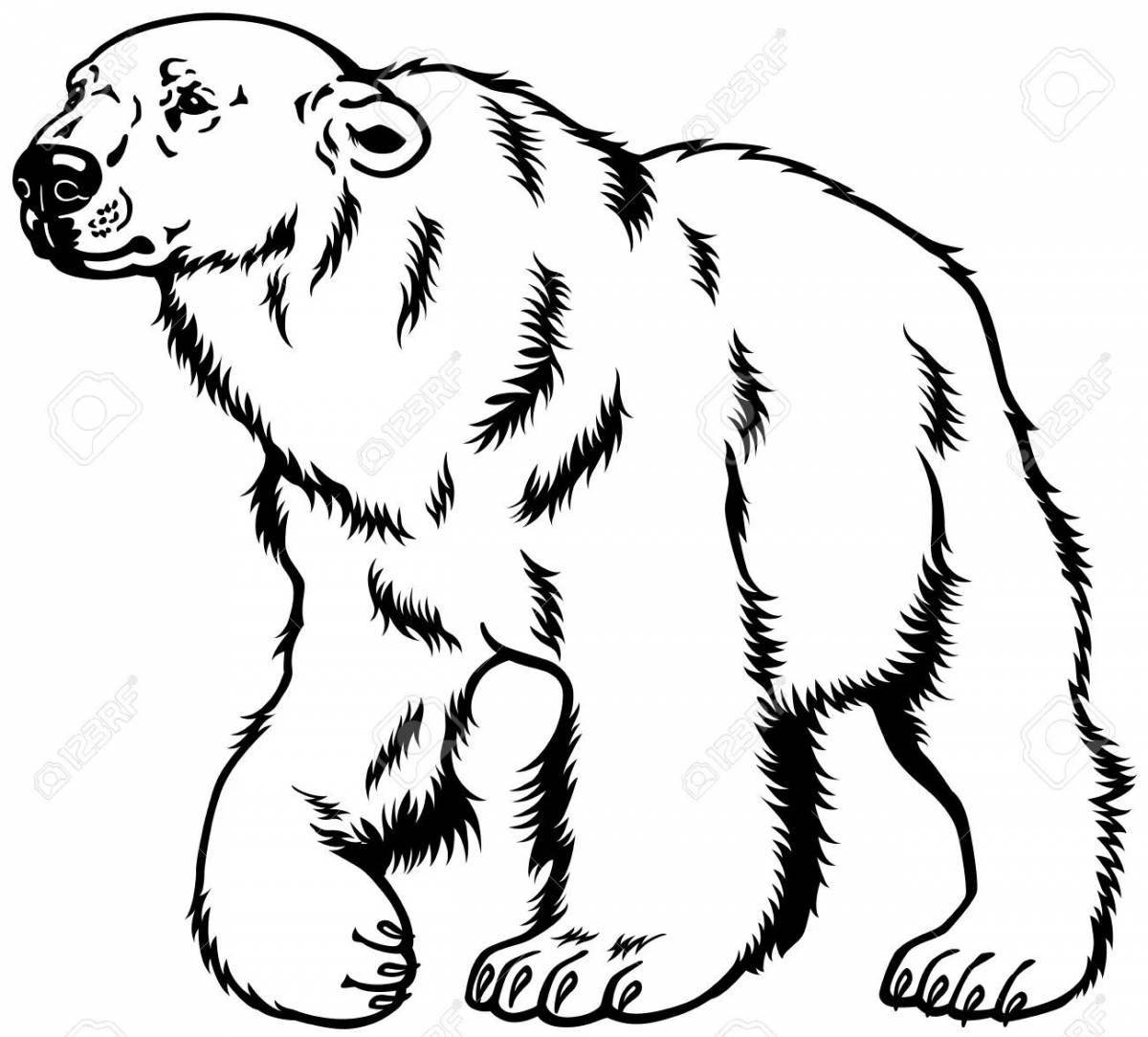 Раскраска потрясающий гималайский медведь