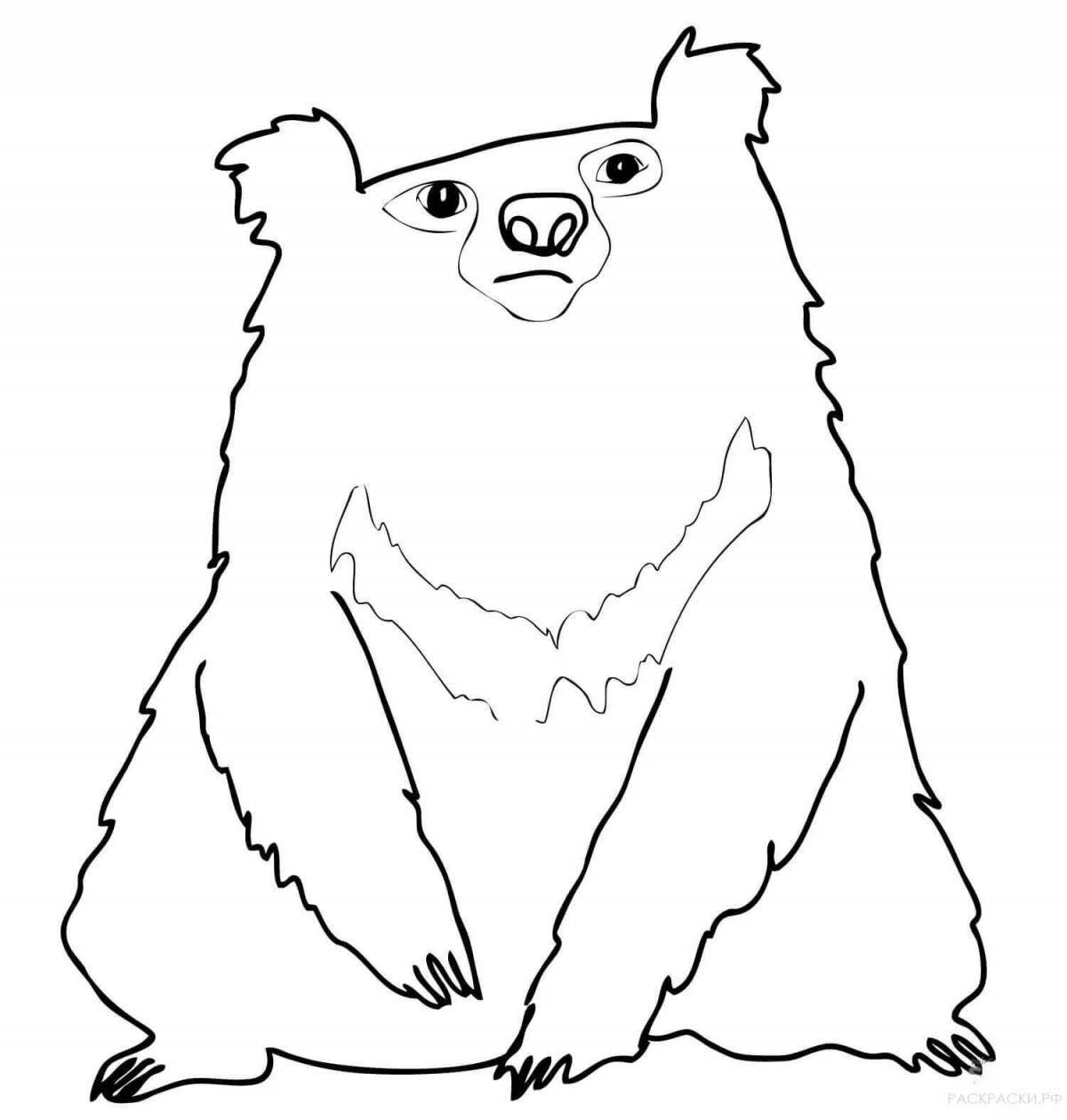 Раскраска мирный гималайский медведь