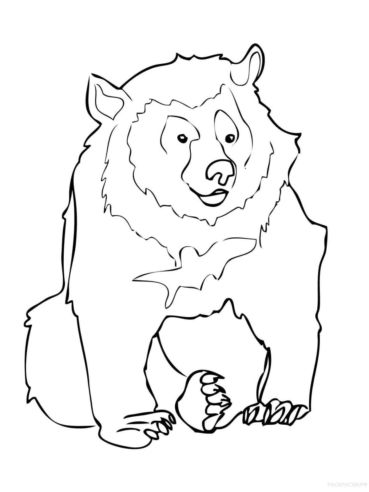 Раскраска буйный гималайский медведь
