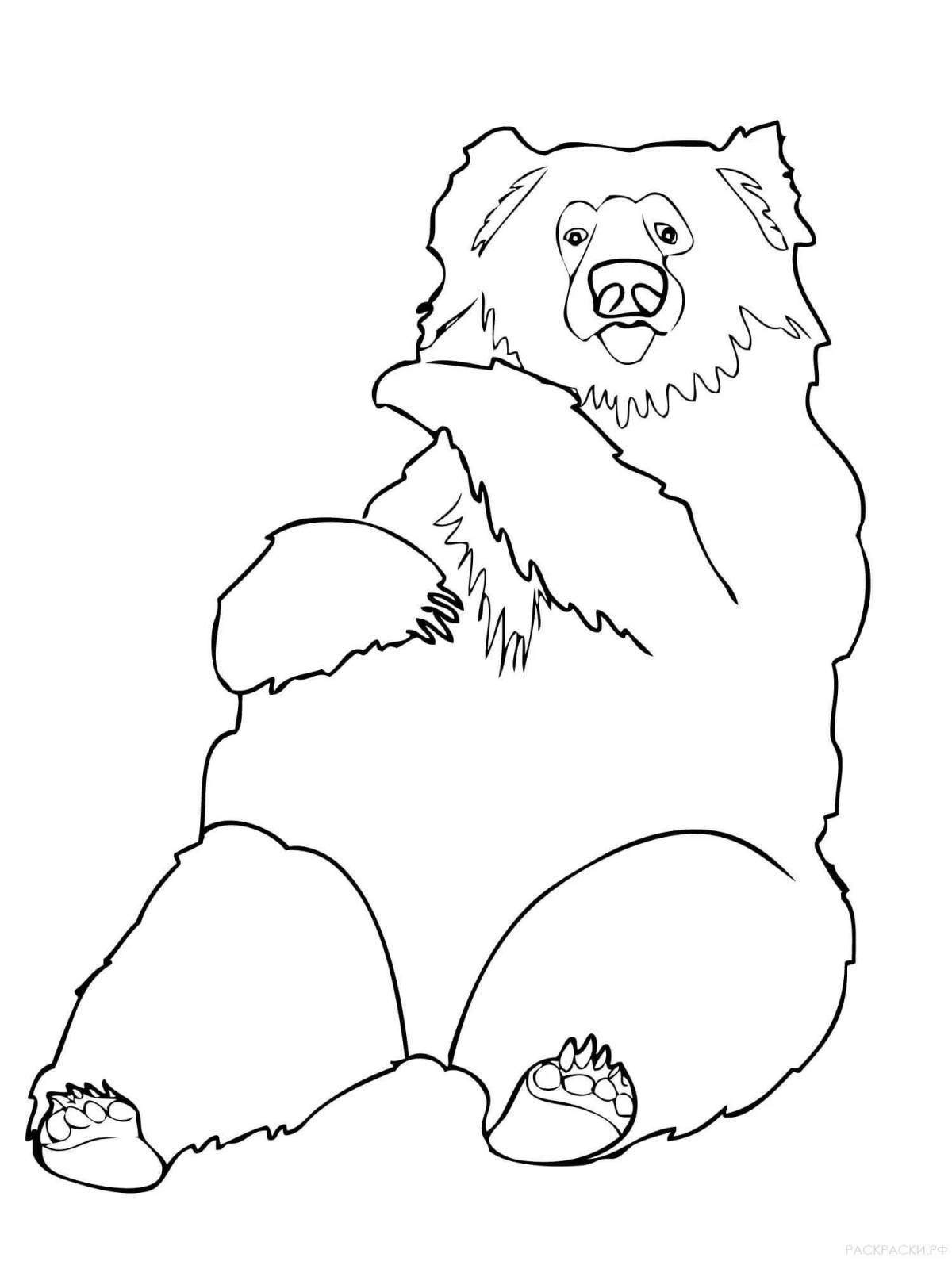 Анимированная страница раскраски гималайского медведя