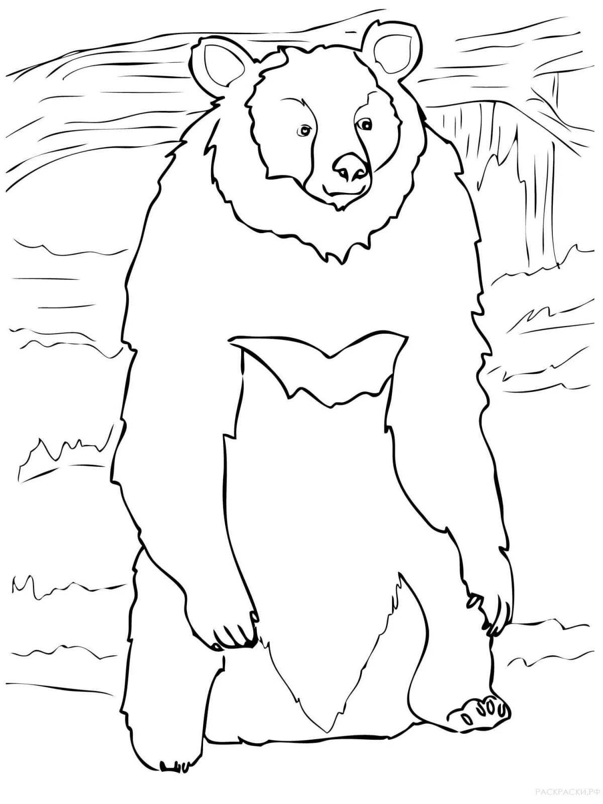 Coloring live Himalayan bear