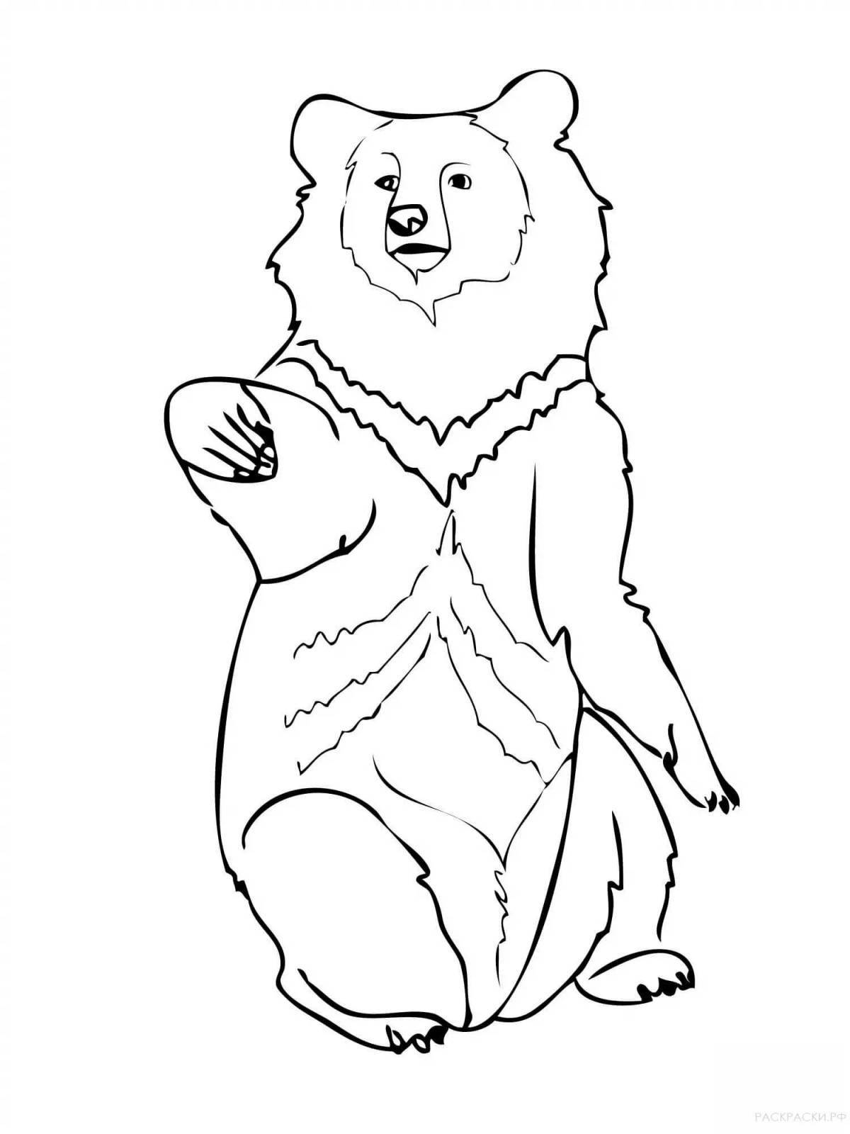 Раскраска веселый гималайский медведь
