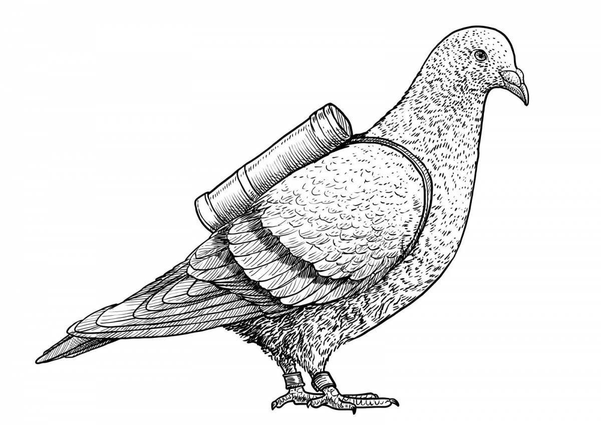 Beautiful carrier pigeon coloring page