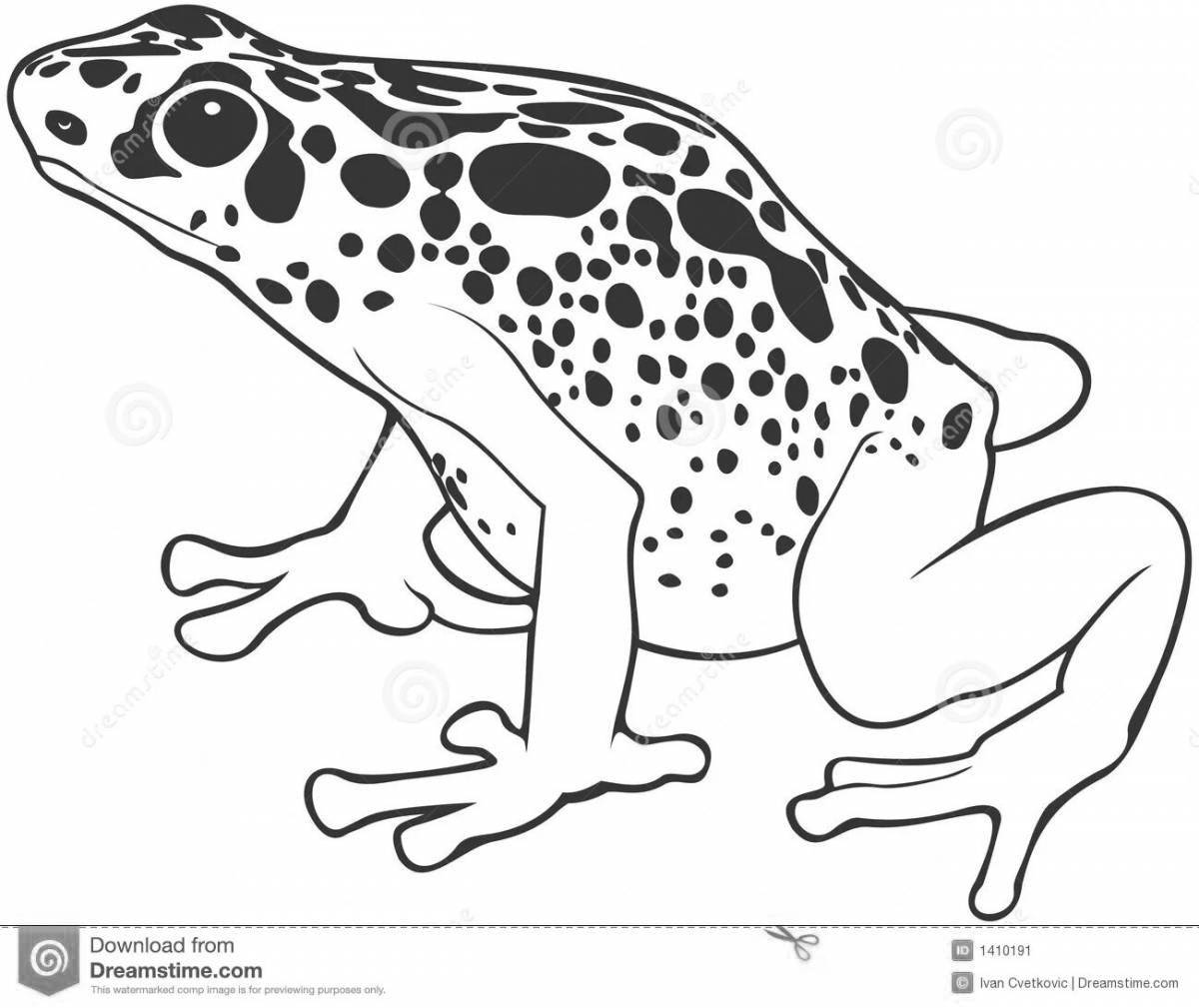 Radiant coloring page dart frog