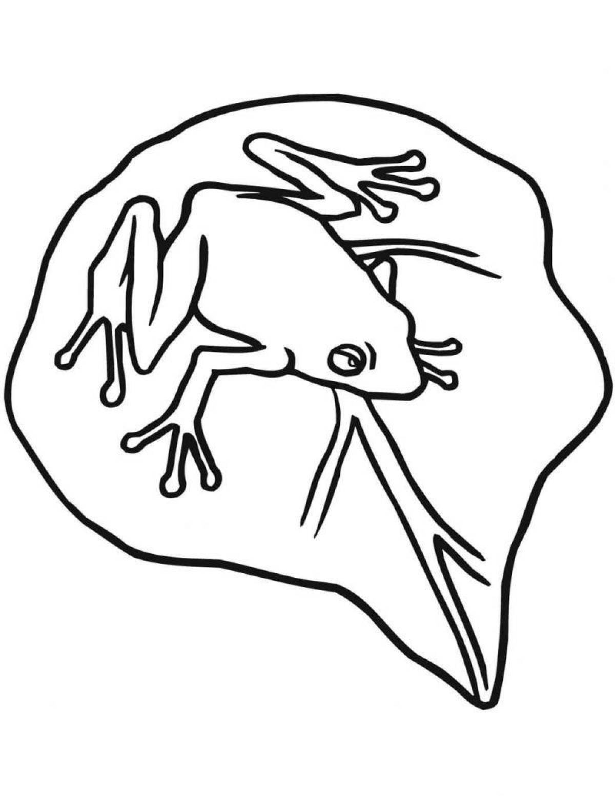 Luminous Dart Frog Coloring Page