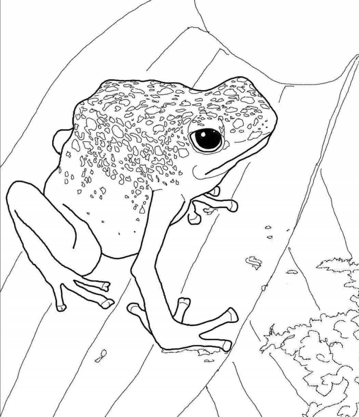 Luminous Dart Frog Coloring Page