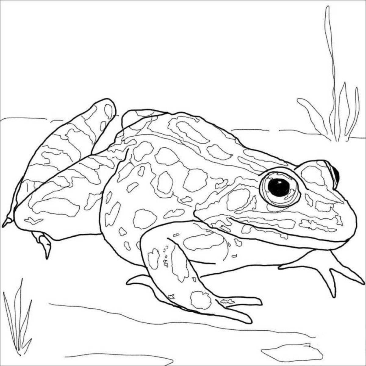 Intensive coloring of the dart frog