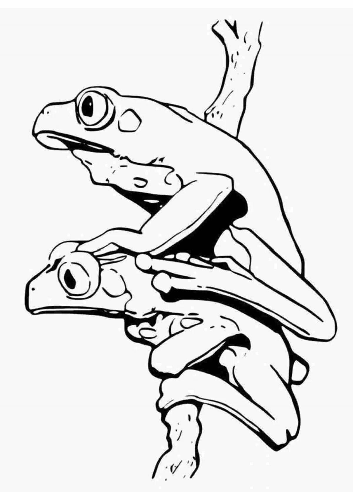 Dart frog majestic coloring book