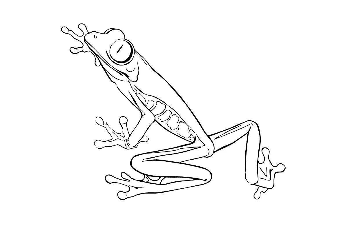 Royal dart frog coloring book