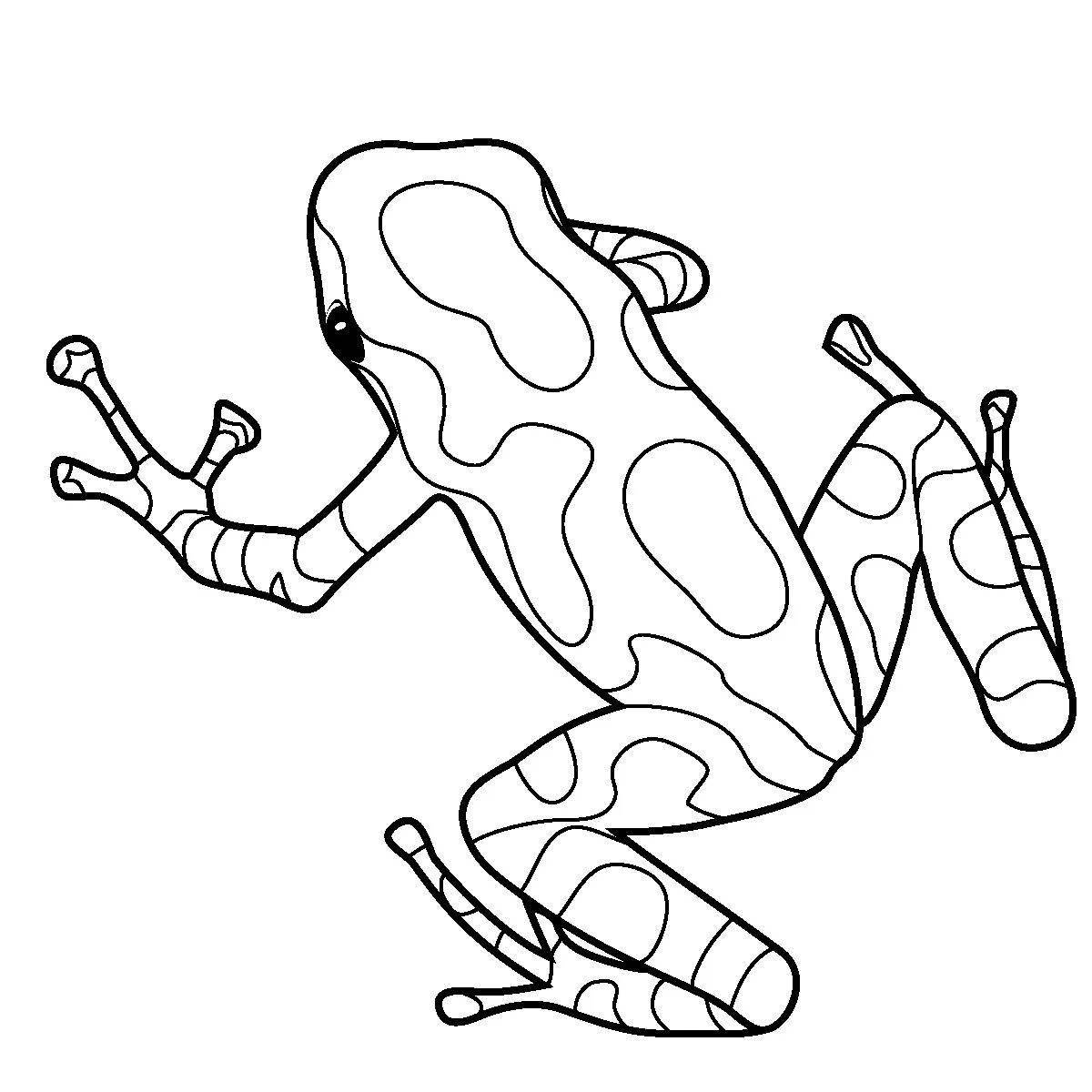 Готовая раскраска лягушка-дротик