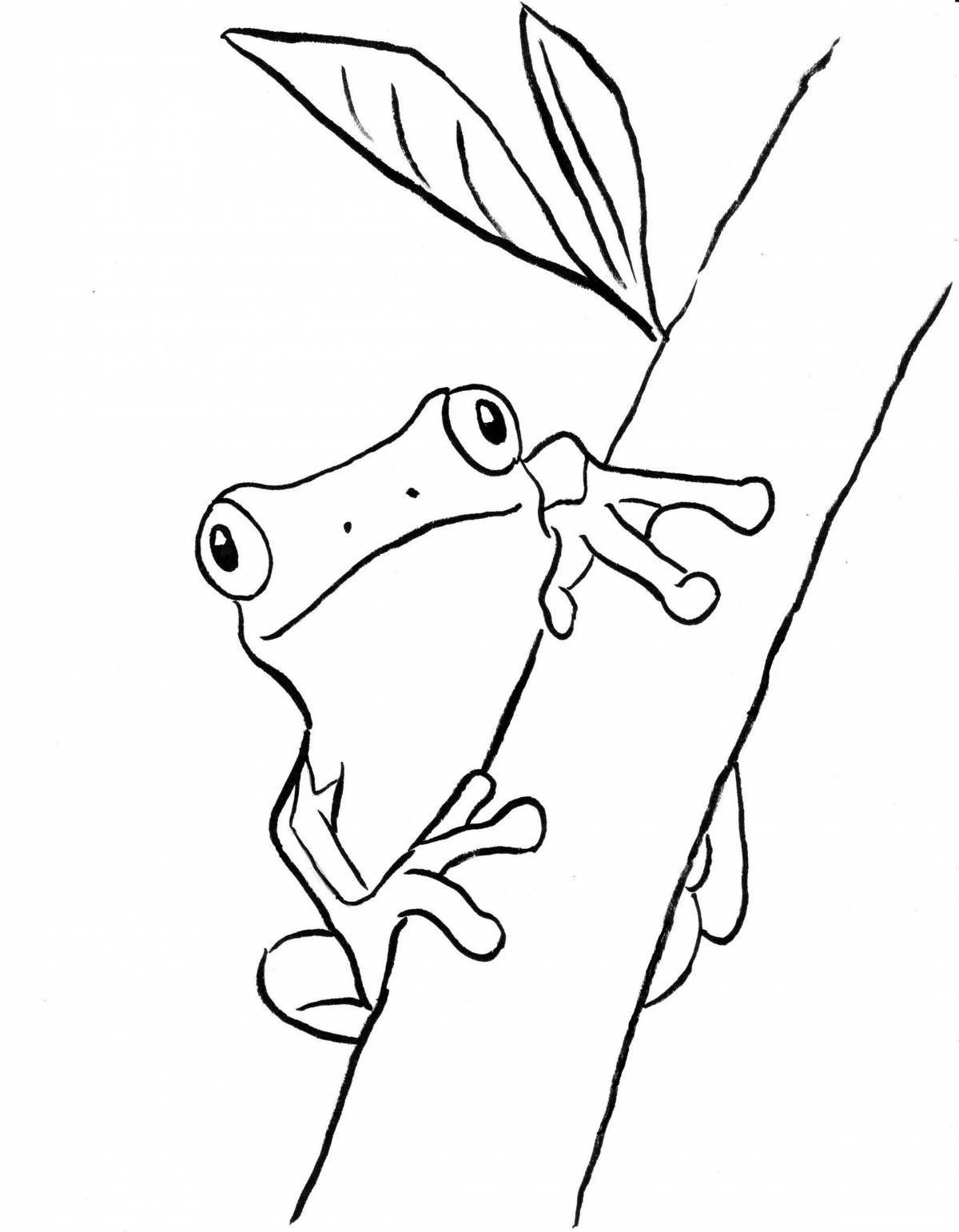 Dart frog playful coloring page