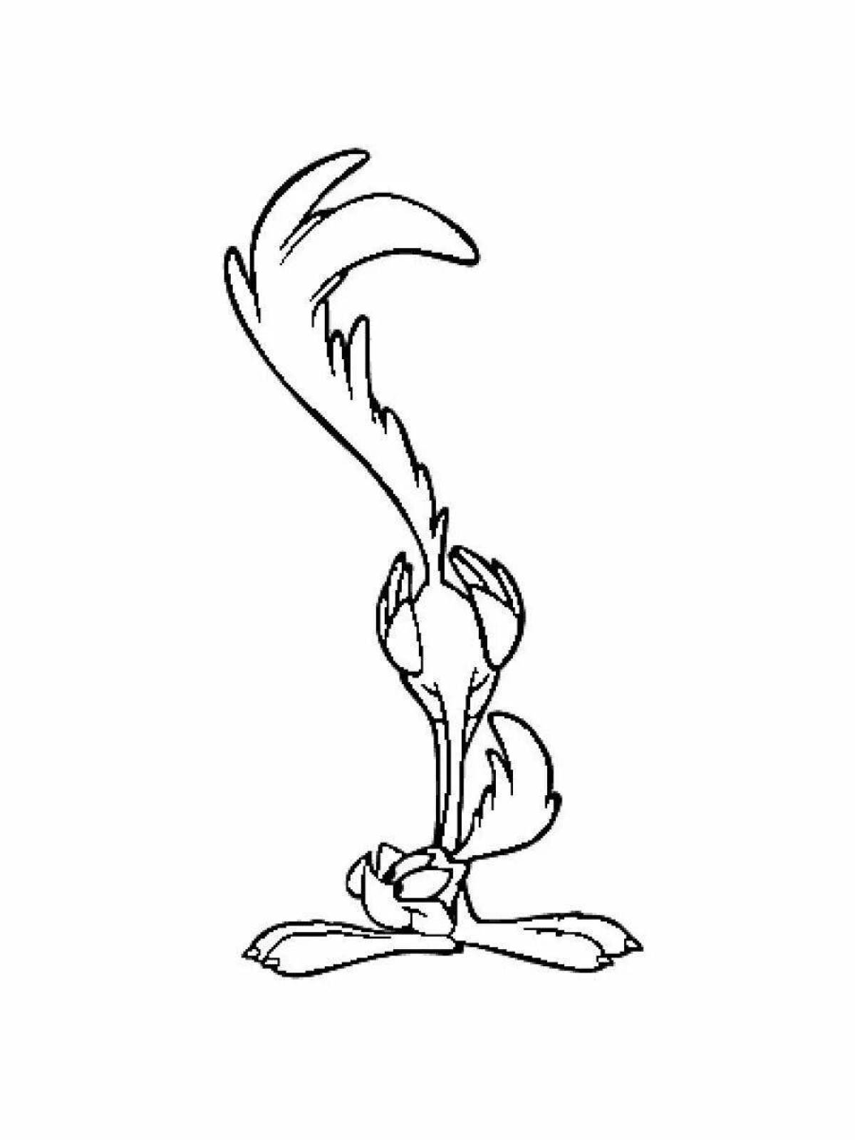 Coloring page bright road runner
