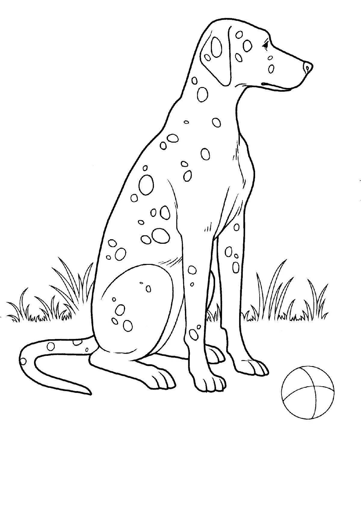 Раскраска радостная далматинская собака