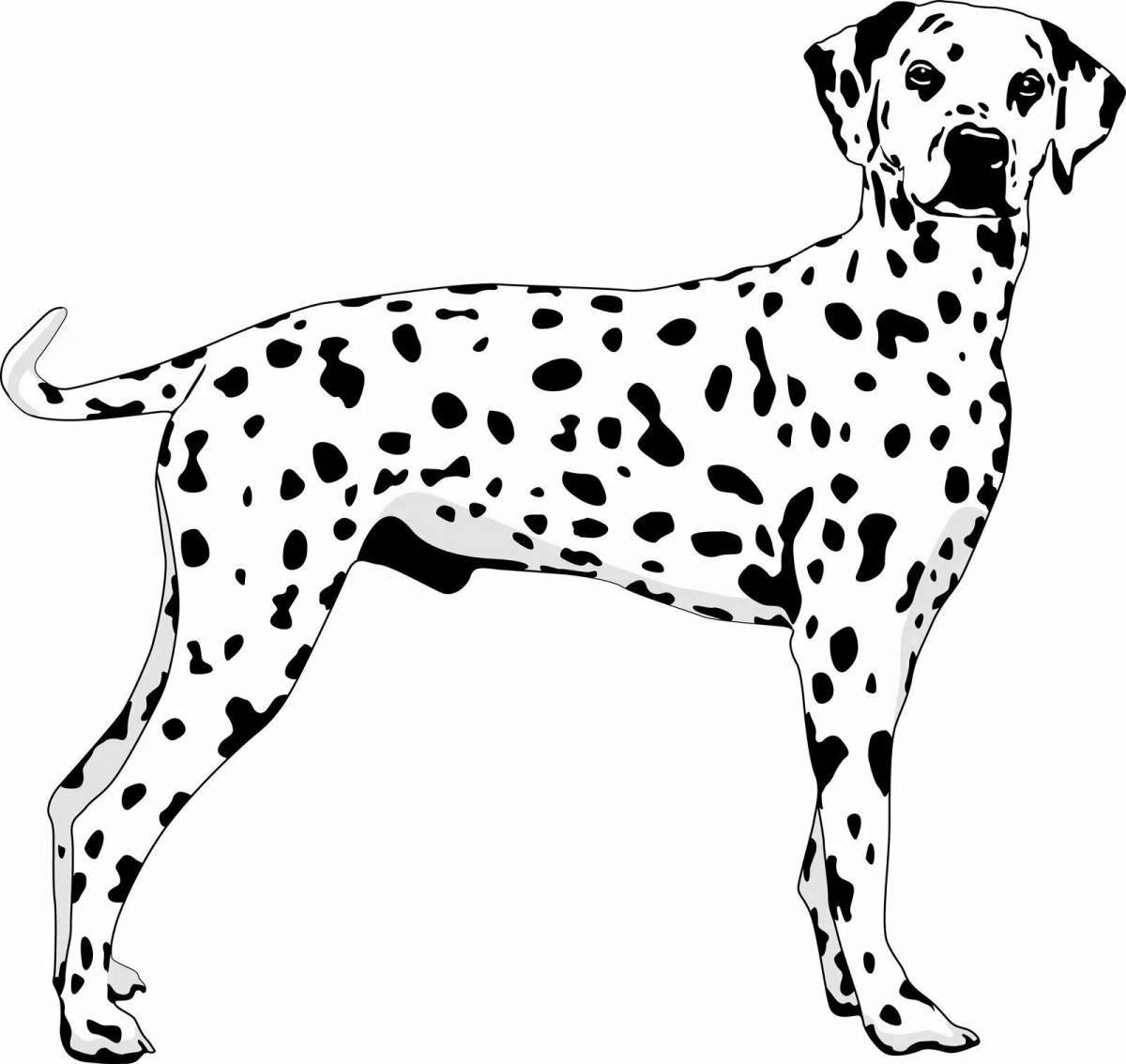 Adorable Dalmatian dog coloring book