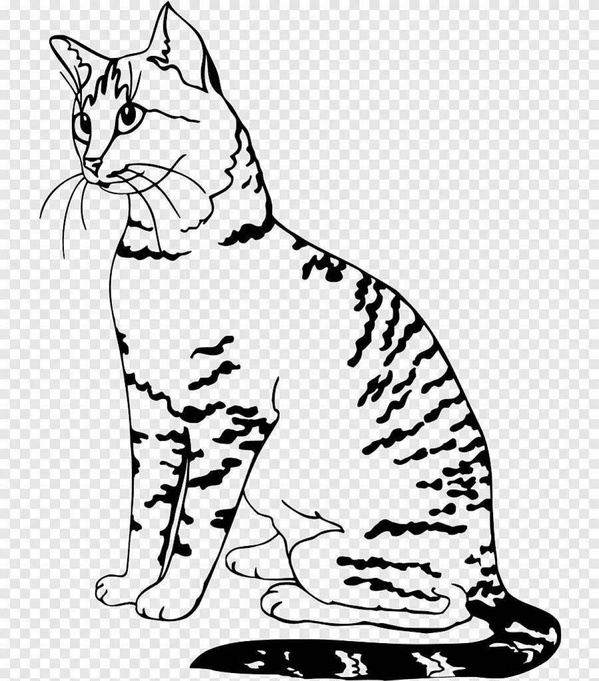 Раскраска дружелюбный полосатый кот