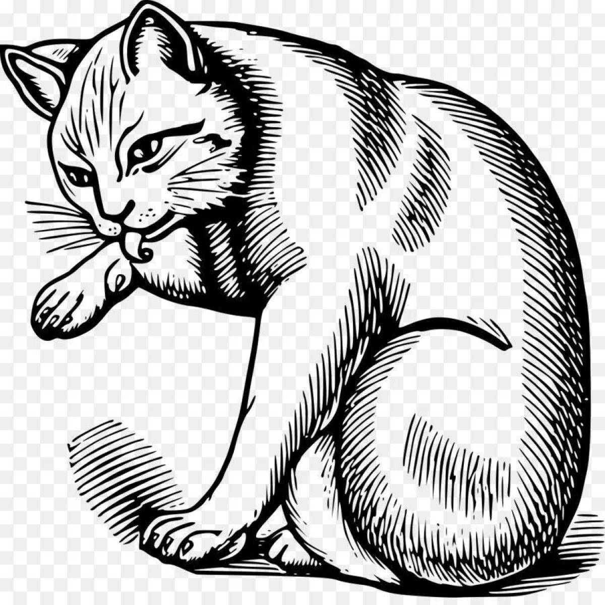 Coloring page gentle tabby cat