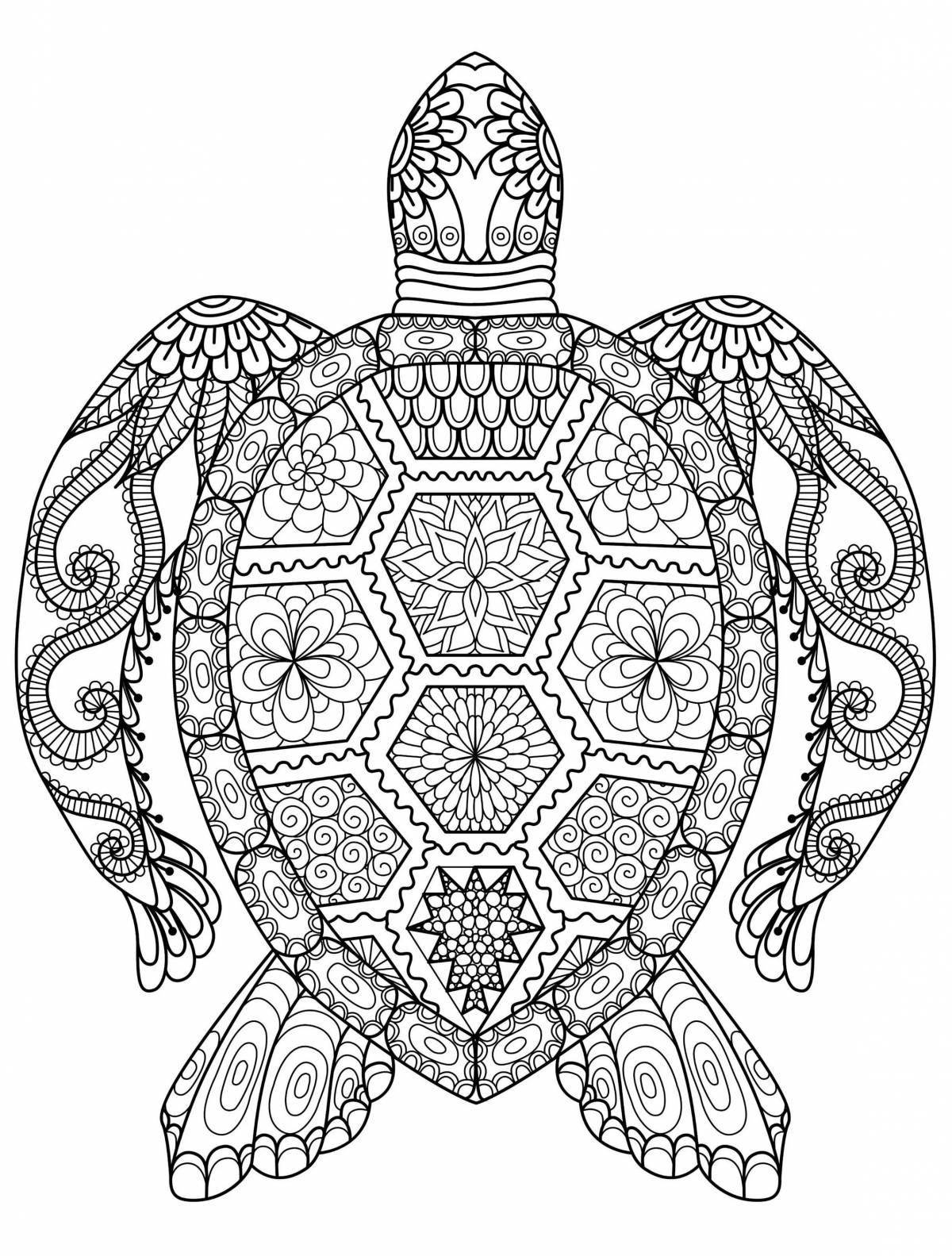 Joyful leonardo antistress coloring book