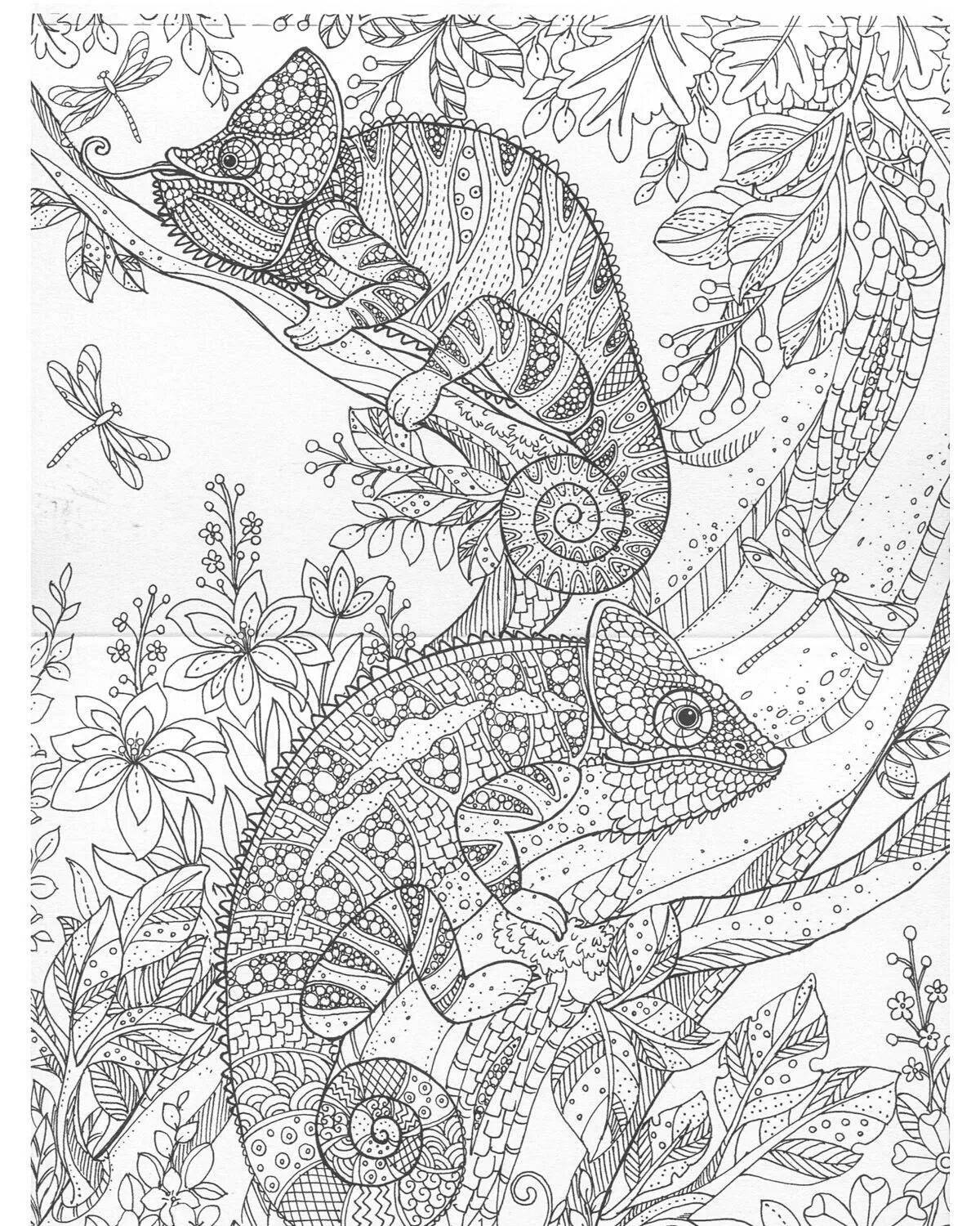 Glorious leonardo antistress coloring book