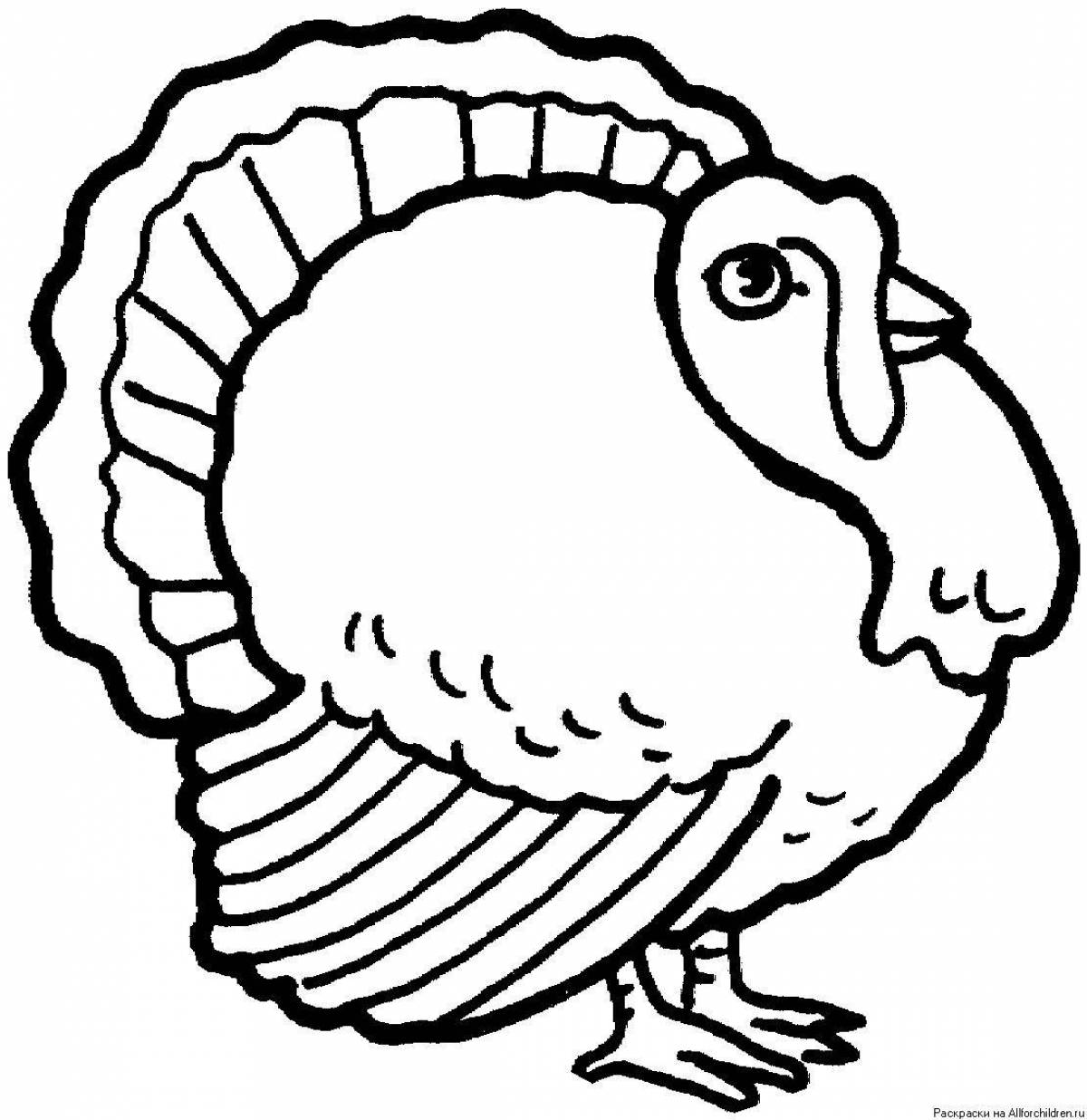 Animated coloring turkey