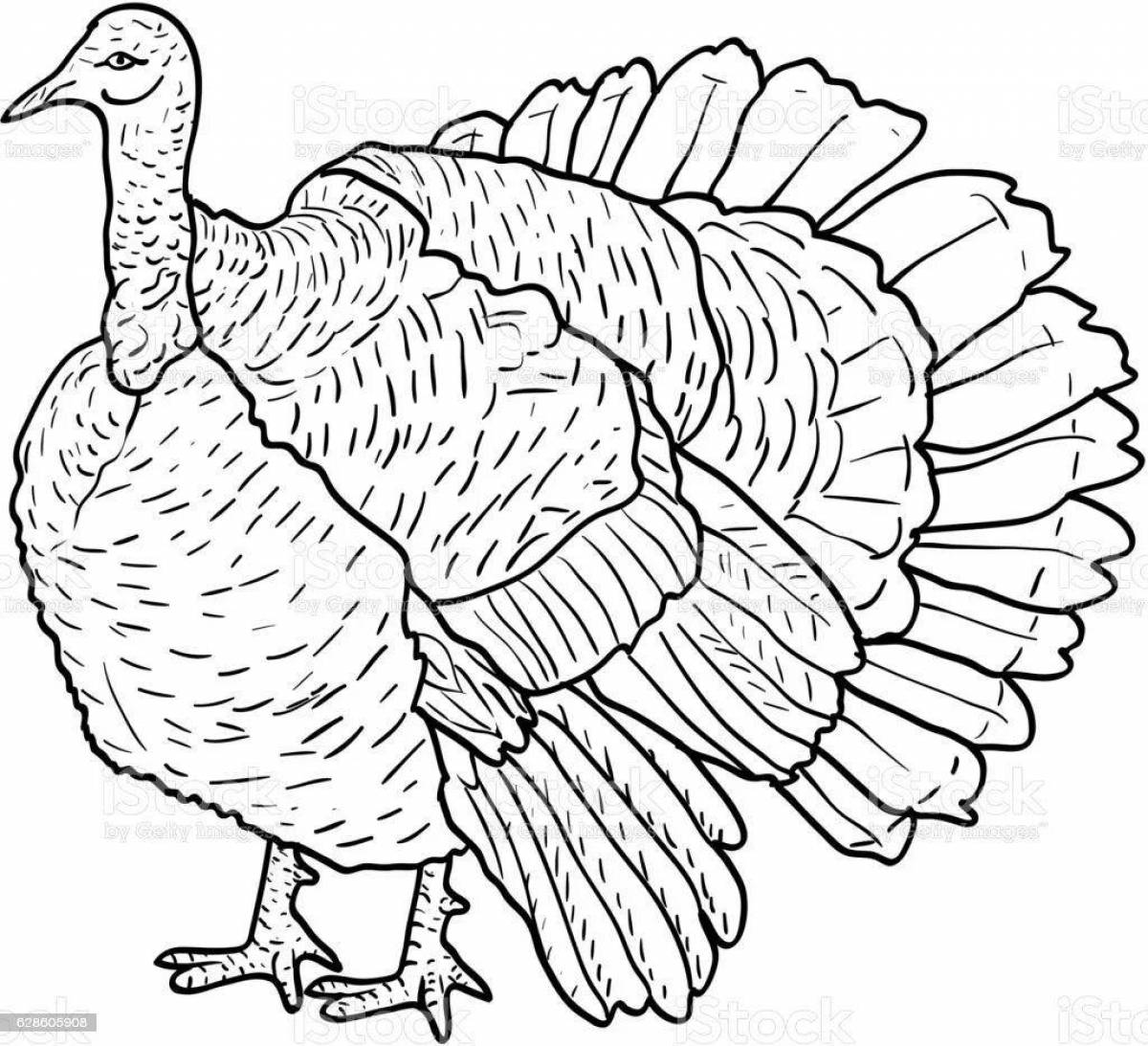 Dazzling coloring turkey