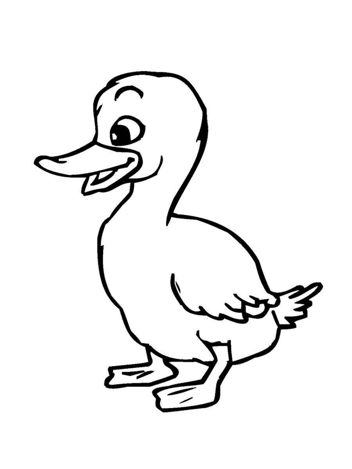 Animated little duck coloring page