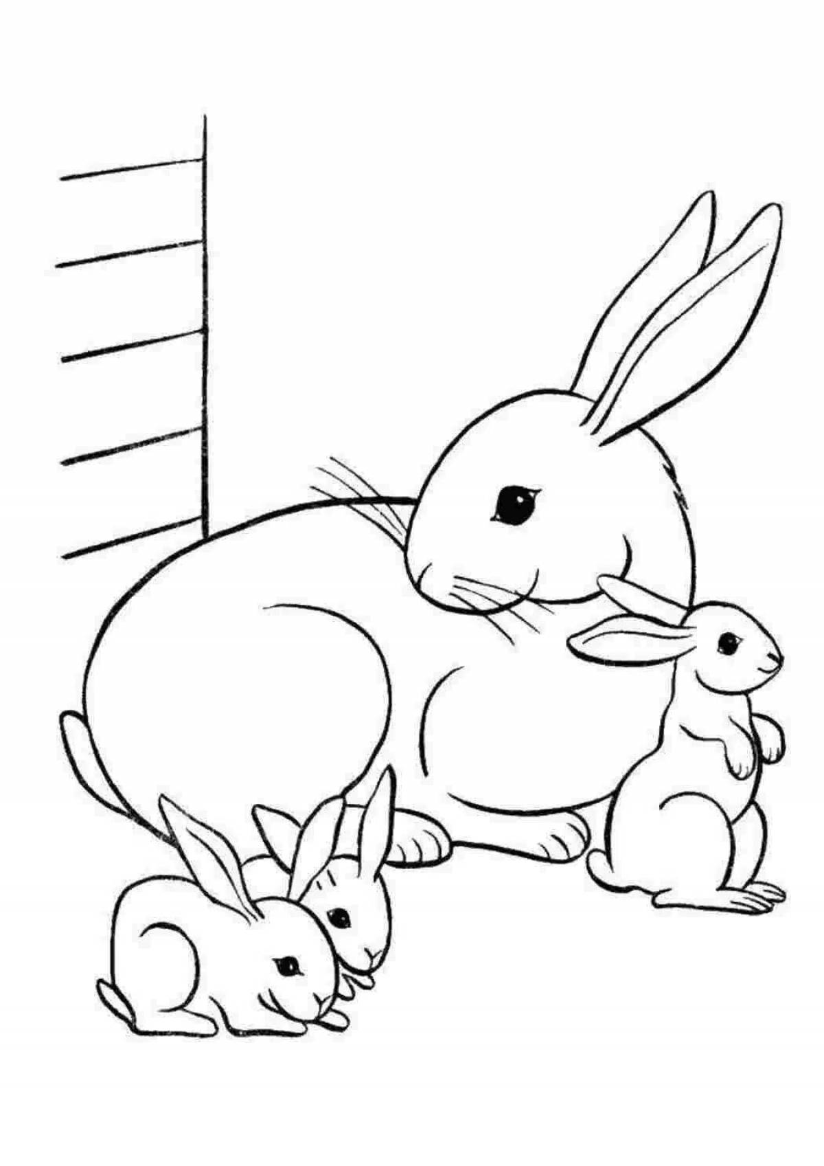 Coloring book mischievous hare rabbit