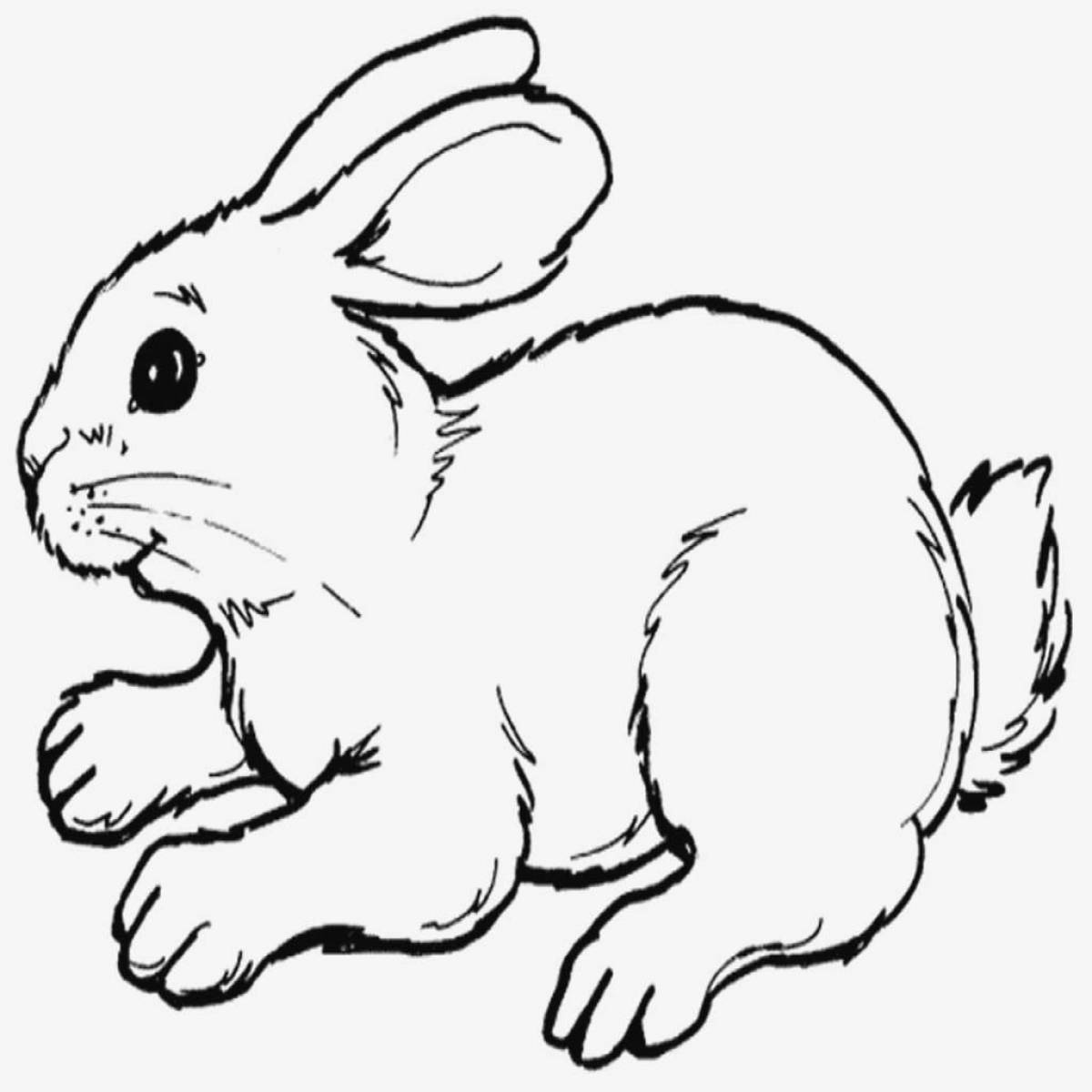 Coloring book cheerful hare rabbit
