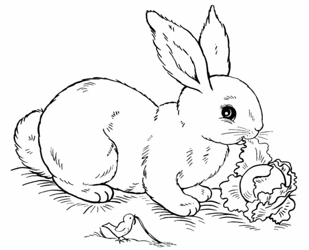 Coloring book smart hare rabbit