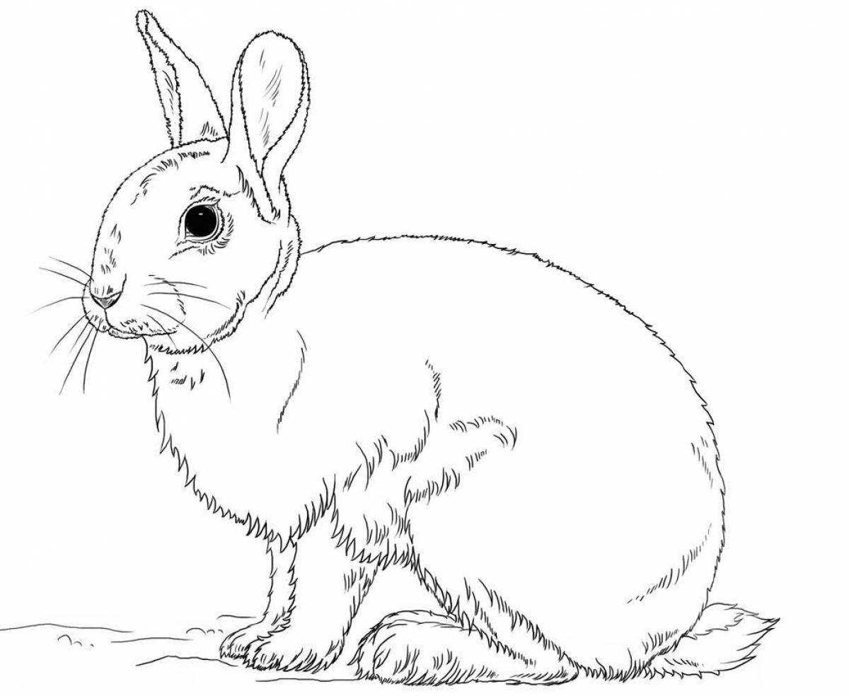 Coloring page cheerful hare rabbit