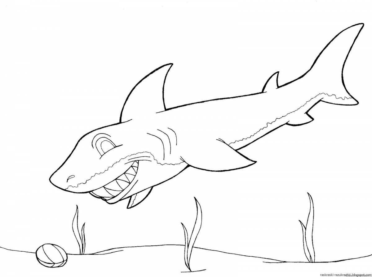 Photo Funny shark coloring book