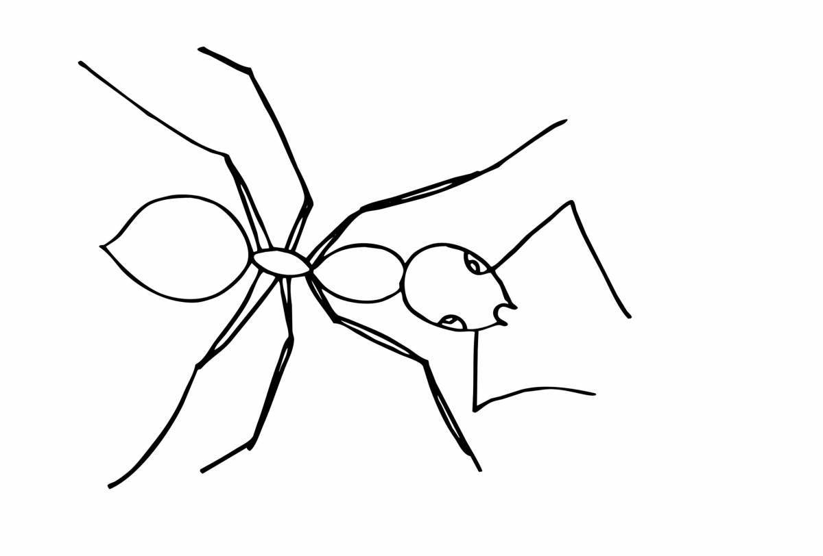 Замысловатая раскраска муравей