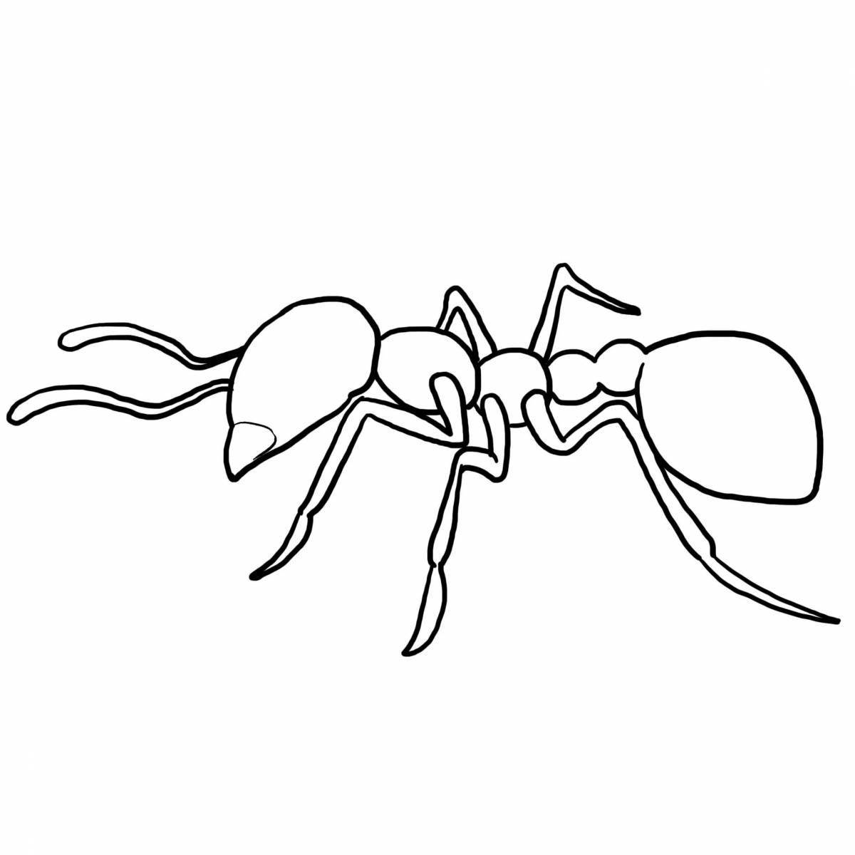 Colorful drawing of an ant