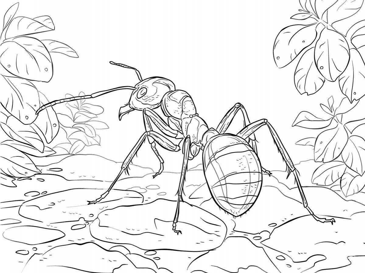 Colorful drawing of an ant coloring page