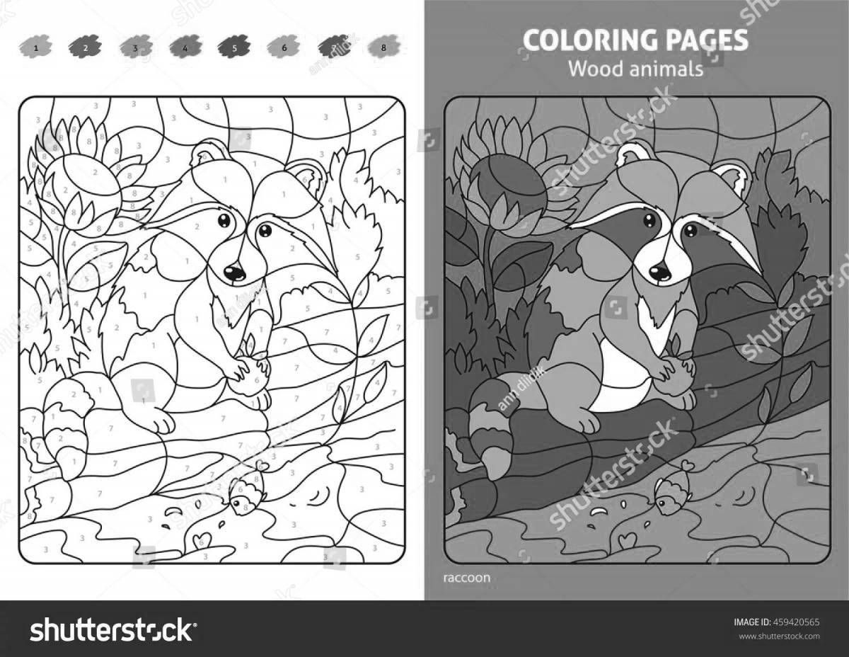 Coloring book shiny raccoon