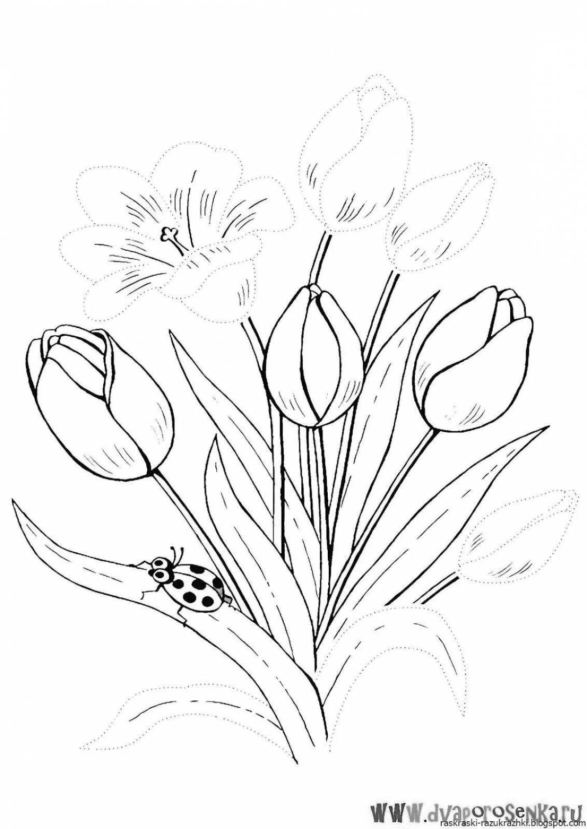 Colorful spring tulips coloring book