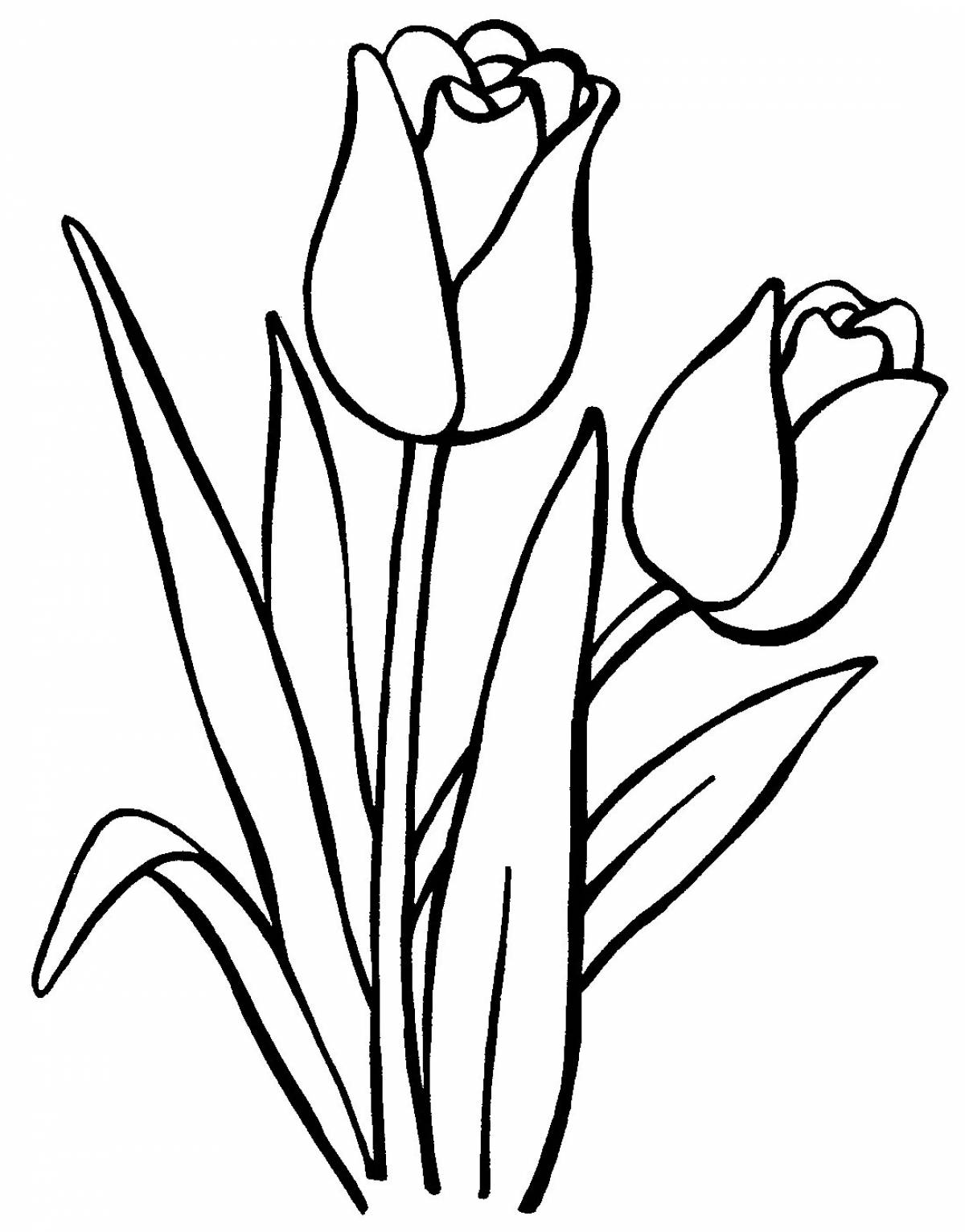 Spring tulips #5