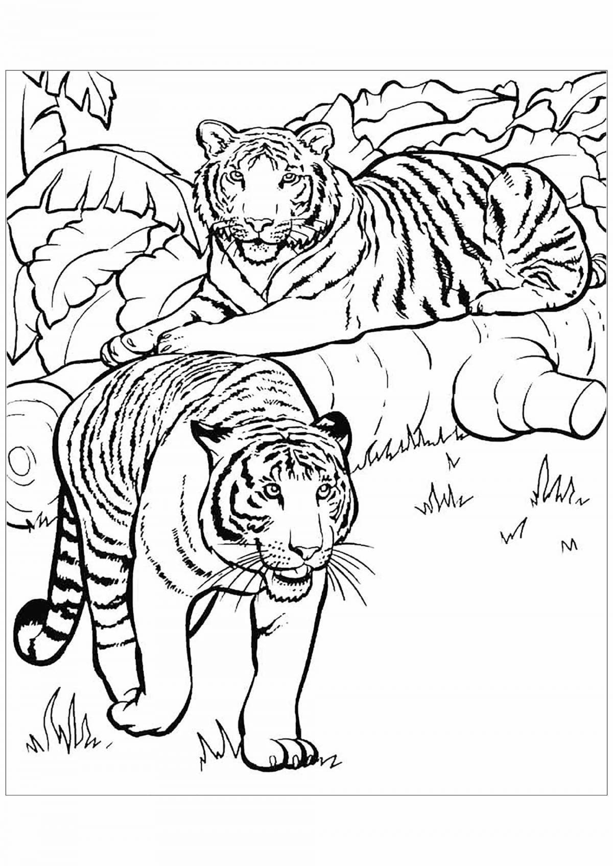 Coloring book exotic tiger family