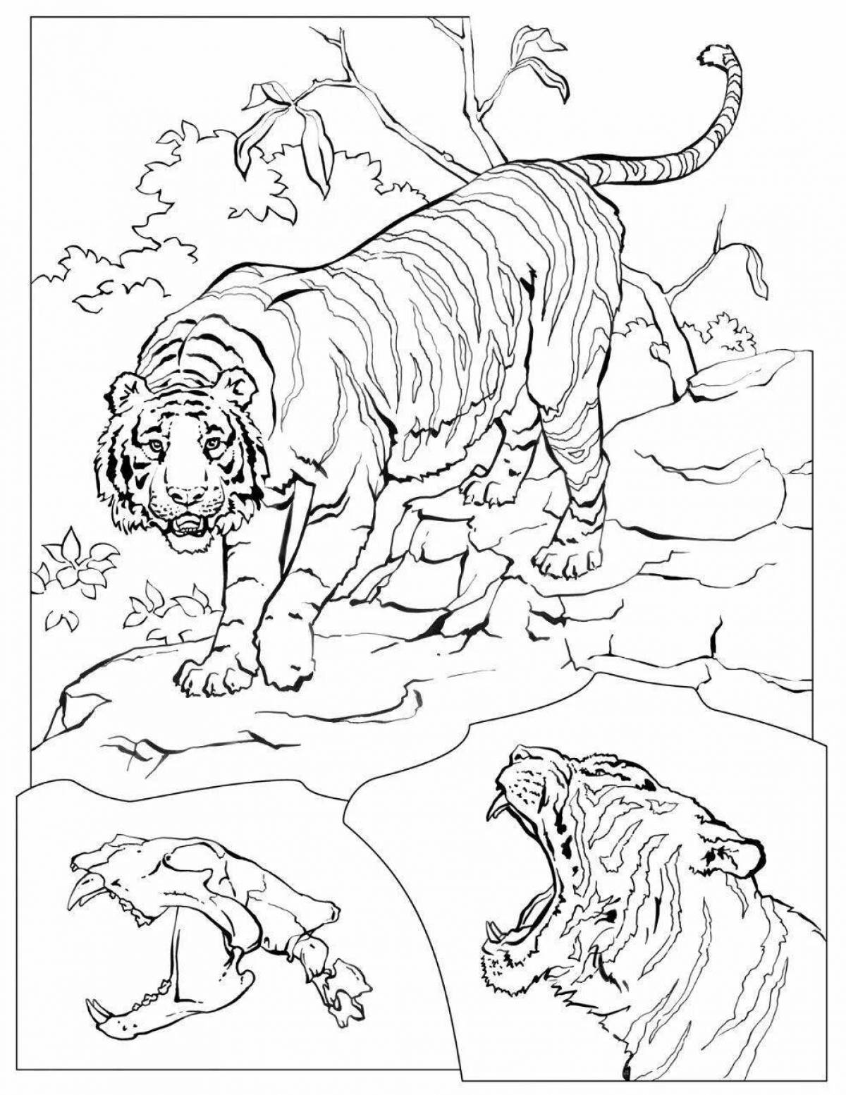 Раскраска живая семья тигров